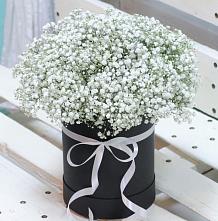 Цветочная композиция из Гипсофила в шляпной коробке #REPLACE_PRED# Кочетовской